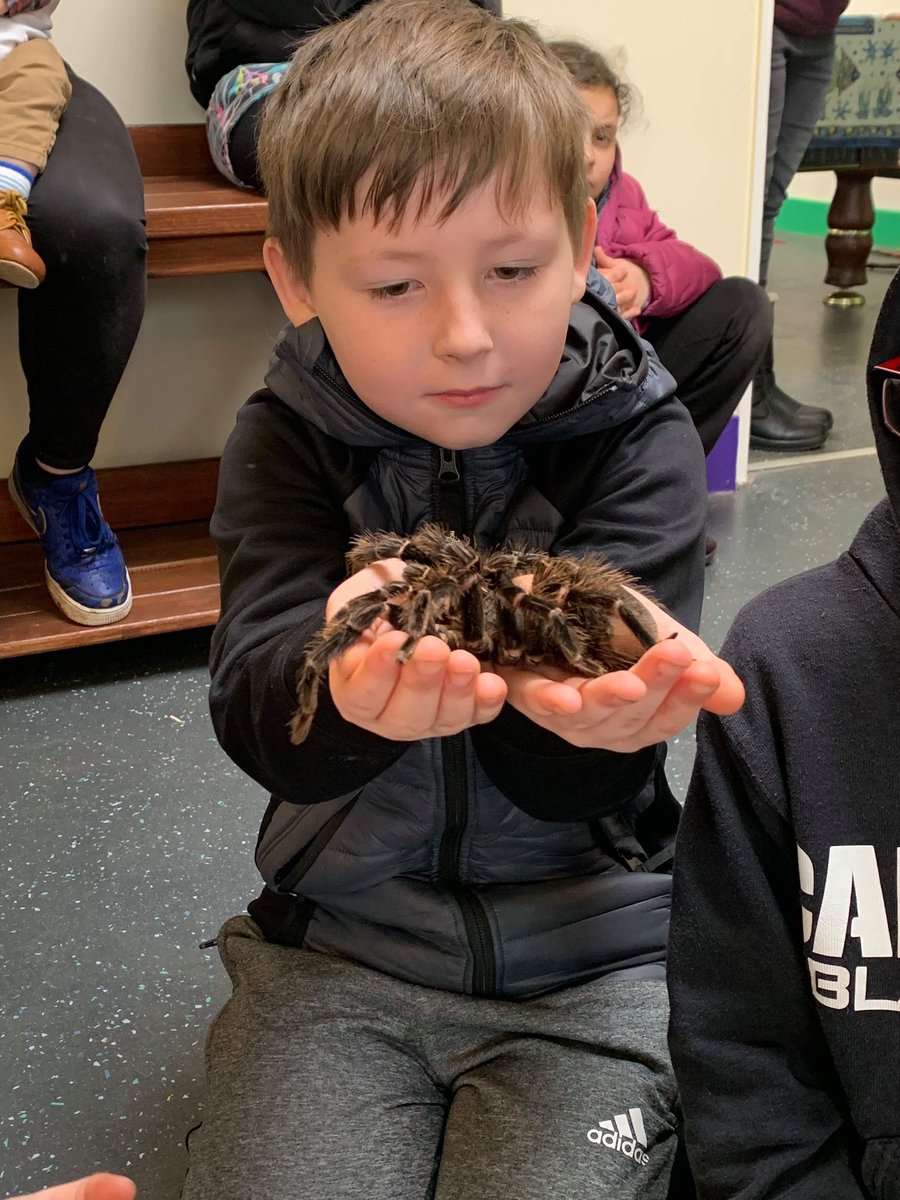 GAPALtd's tweet photo. We have had a fantastic muddy, noisy, fun Playscheme.  We were able to send £65 to the WWF Bushfire Fund thanks to lots of donations at the fun day x. Thanks to all that joined in it’s been a blast! #adventureplayground #community #playscheme https://t.co/BeO7x15erZ