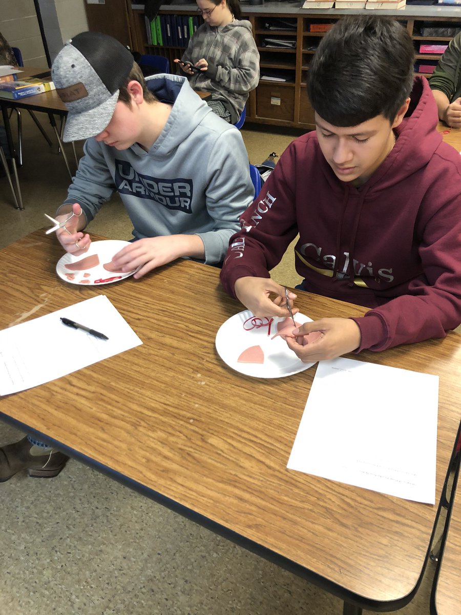 NeoshoFFA's tweet photo. Ag Science I students learned how to ear notch pigs using bologna today, while the Animal Science students balanced rations using Chex Mix. Applying the knowledge they’ve learned this week in a fun way to finish out the week! @Neosho_HS @NeoshoSD #CaseASA https://t.co/1hI8lbxepa