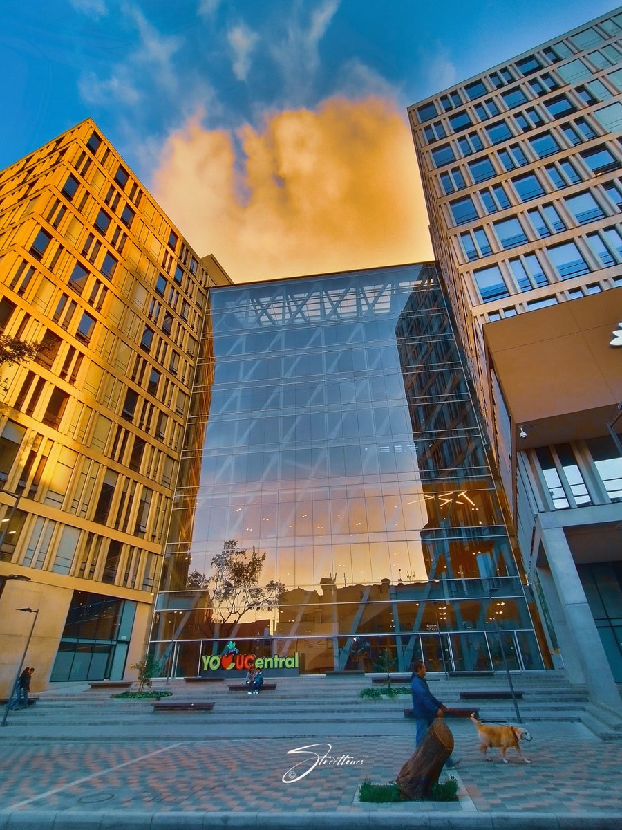 ucentralbogota's tweet image. #FelizViernes Familia unicentralista. ❤️💚

Foto de: Paul Boonnis 😎