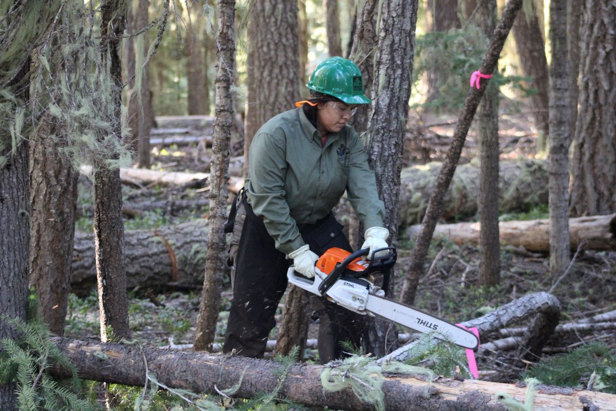 NWYouthCorps's tweet photo. 🌲Partner spotlight🌲 
In 2019, @UmpquaNF partnered with @NW_YouthCorps to host 3 separate trainings for our crew leaders. leaders learned valuable conservation skills and were able to receive certifications through the @USDA in chainsaw and crosscut operation. Thanks @UmpquaNF ! https://t.co/8VCVtYYPCC