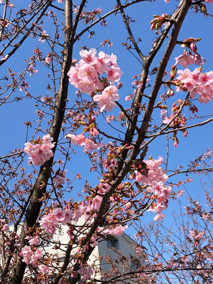 DebraRussell1's tweet image. Day two of training in Tokyo to start soon! #LoveMyLife #1intsl #interpretertraining