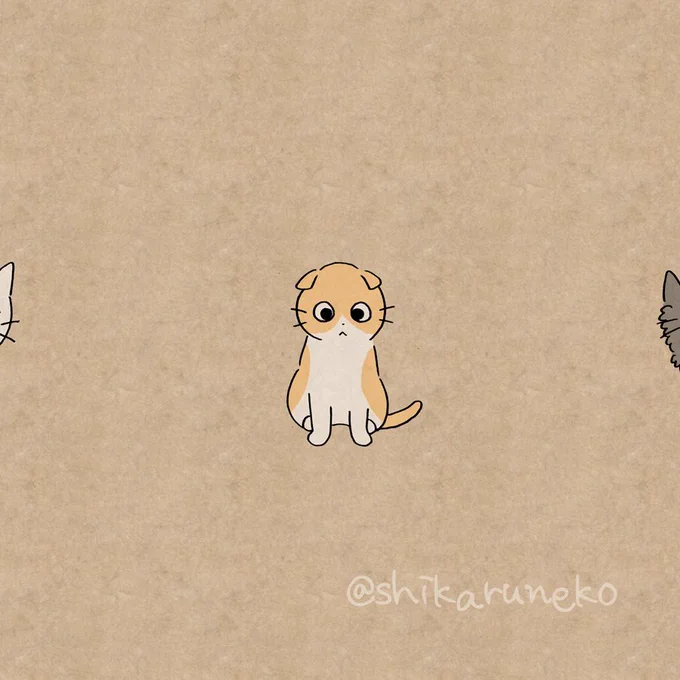 本日2月22日は「ながめるねこ」の誕生日!初登場から1周年を迎えたよ!
#猫の日 