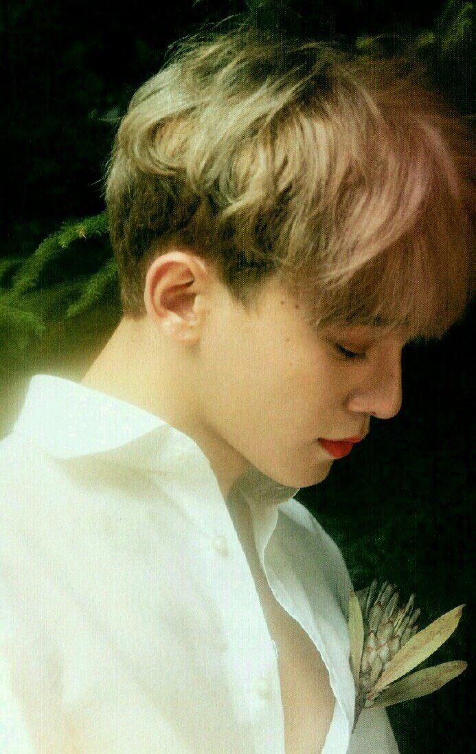 cotton8812's tweet photo. bu tarzına geri dönmen için sol böbreğimi veririm

sağ böbreğim zaten kızıl kyungsoo için

#jongdae #ChenWins https://t.co/1FGaCUUpP3