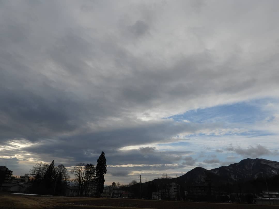 E6 97 A5 E6 9c Ac E7 8c Bf Twitter Search