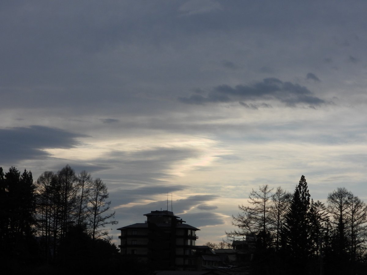 E6 97 A5 E6 9c Ac E7 8c Bf Twitter Search