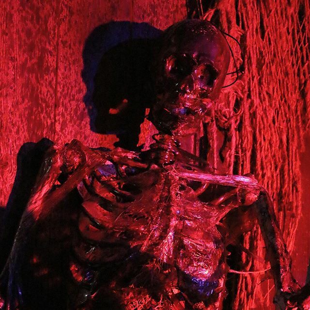 MandaLioness's tweet photo. How I feel after this week. #skeleton #halloween #waylatergram #seaworld #seaworldtexas #seaworldsa #seaworldsanantonio #themeparkphotography #canon #canon70d #teamcanon #halloweenphotography https://t.co/JHvn61xuLD https://t.co/FYZHx98SXT