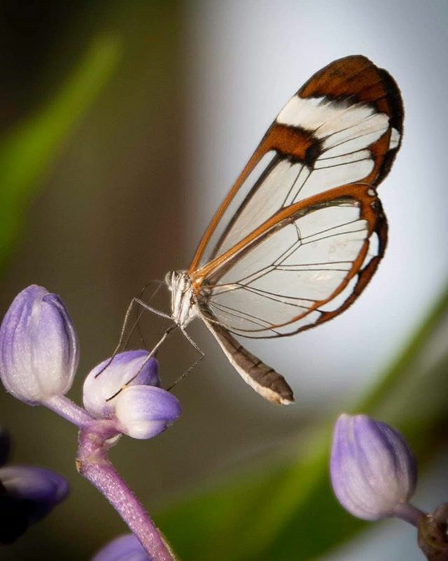 #earthfocus #capitalregionphotograpy  #photographerscritique #USAphotography #photographerscooperative #arizonaphotographygroup #masterphotography #photogadventurespodcast #capturedlight #landscapephotographypodcast #digitalphotomentor #natureodysseyworl… ift.tt/39RwULB