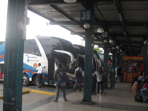 ALERTADESISMO's tweet image. Buscan a 41 pasajeros que viajaron en bus desde Mendoza a Viña, mujer murió de meningococcemia fulminante – El Informador elinformadorchile.cl/2020/02/21/bus…