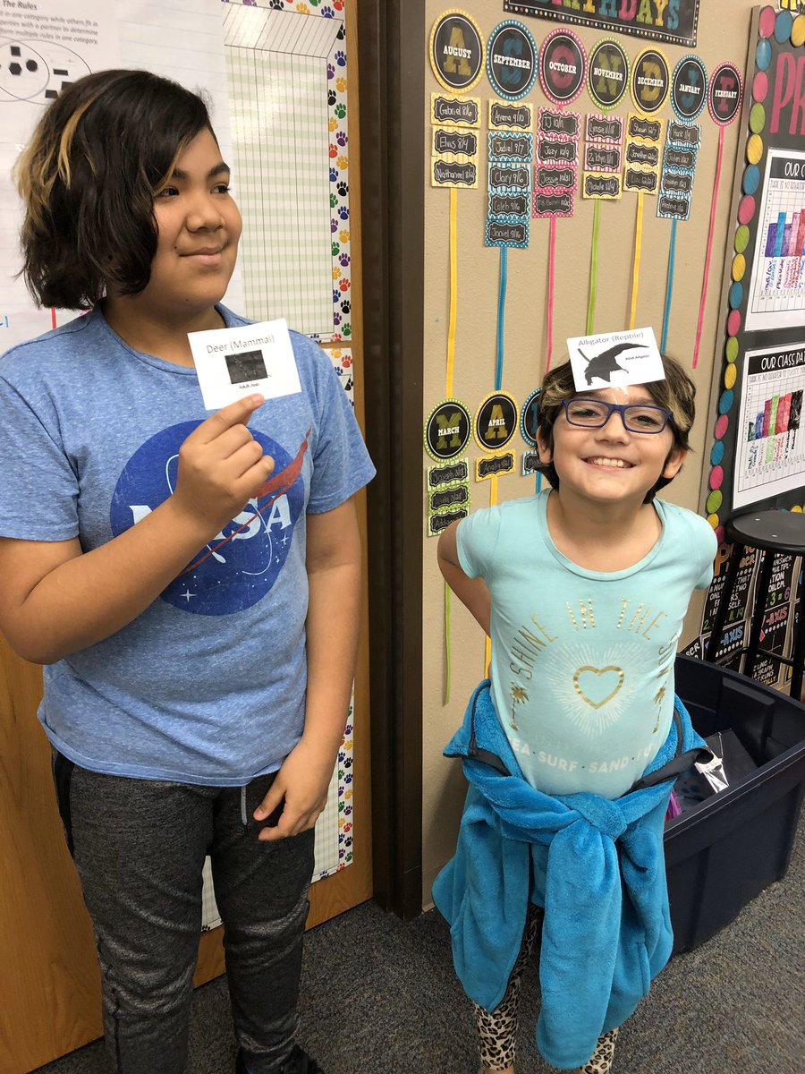 BarrellOCPS's tweet image. Made today’s life cycle activity into a game of headbands, much to my kids enjoyment! It was fun seeing them walking around the room trying to find a partner in the same stage as them. #OCPSSci5 @KimSeaver_OCPS @KevinThomasOCPS @OcpsEast @JMartinez_OCPS @drbradshaw_ocps #OCPS 🐊