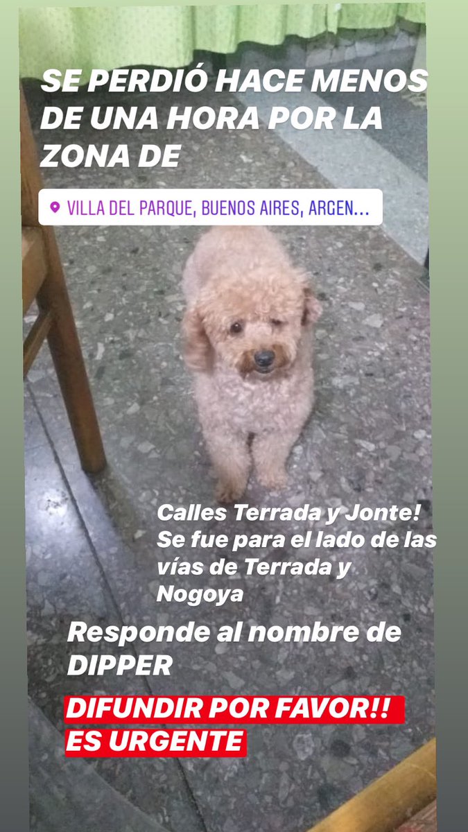 JoniBerardi's tweet photo. DIFUNDIR POR FAVOR!!! CUALQUIER COSA QUE ALGUIEN SEPA O LO HAYA VISTO ESCRIBAME POR PRIVADO! https://t.co/ZGEqo48Goa