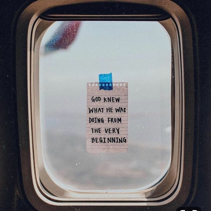 GraceNeverEnding tweet media