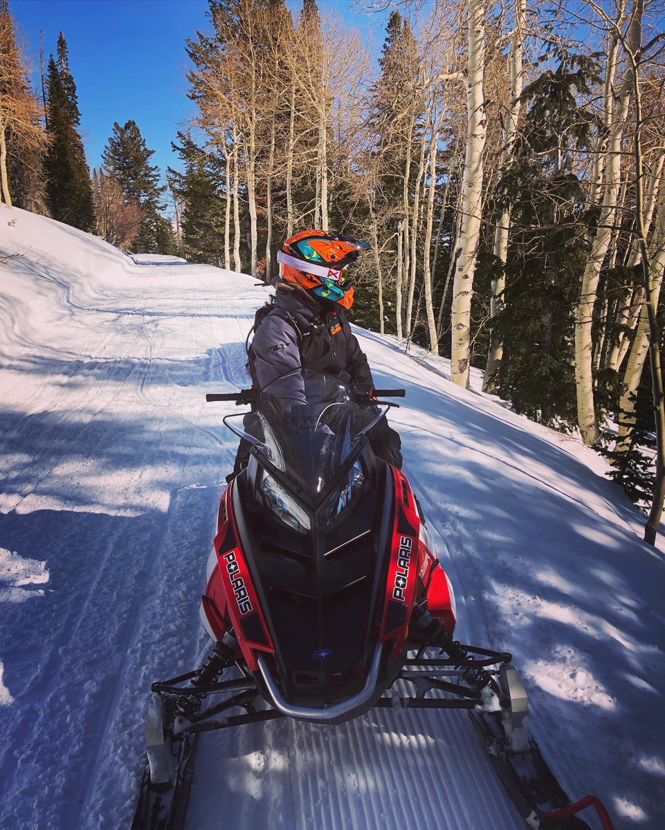 Griff Tatum tweet media