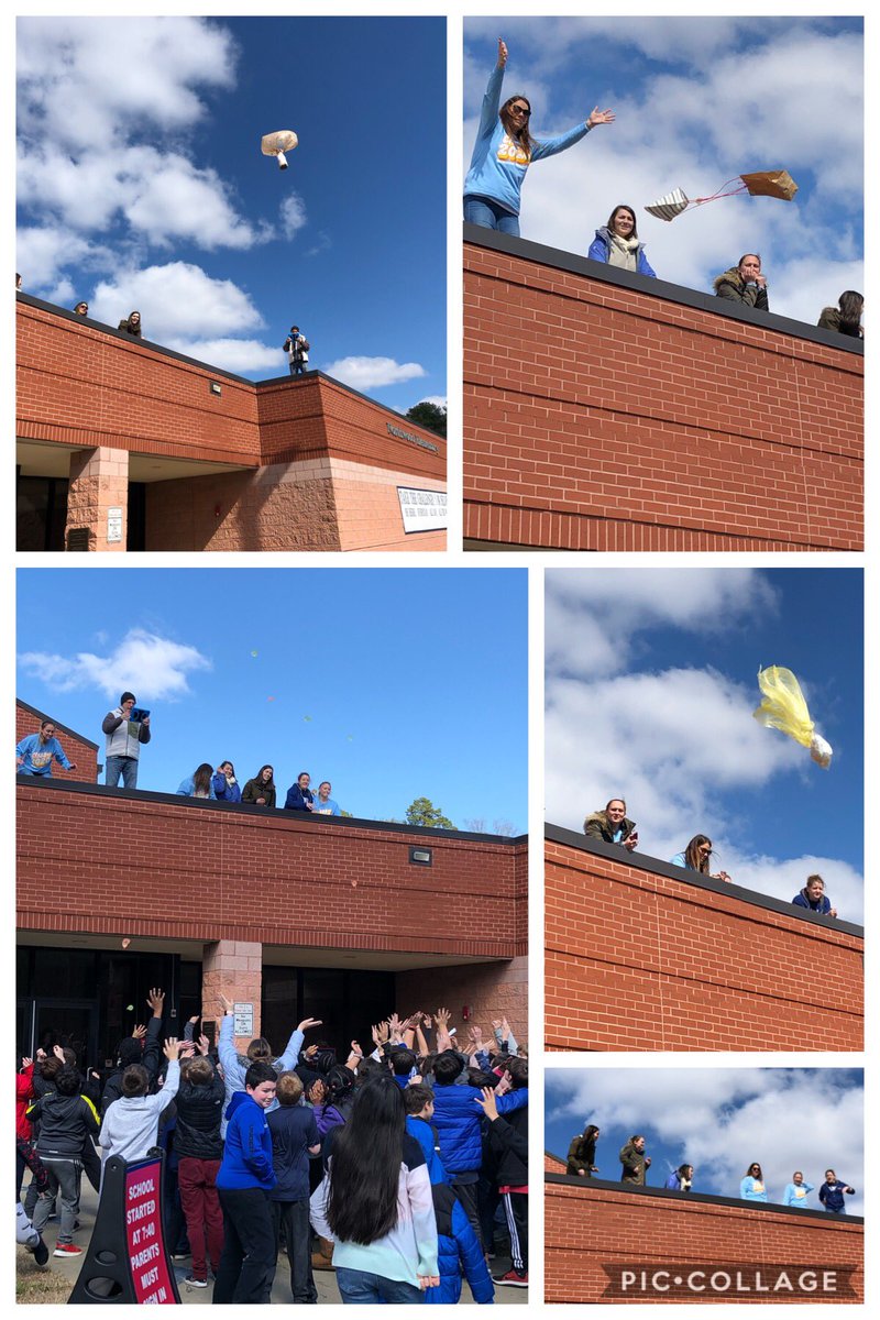 Danielle Evangelista tweet media