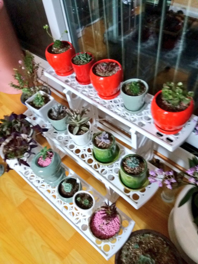 토닥토닥 내린 봄비에
마음적셔 보며
같이했던 지난날을
그리려한다
언제까지 사랑하겠다고
철부지처럼 매달려
보채던 날들은
활동사진 만들어
마음에 각색해 놓고서
아직도 남아있는 우리의 사랑은
운명의 장난이던가
세월은 조금씩
허물어 버리고 내리는
봄비로 그리움만
적시려한다