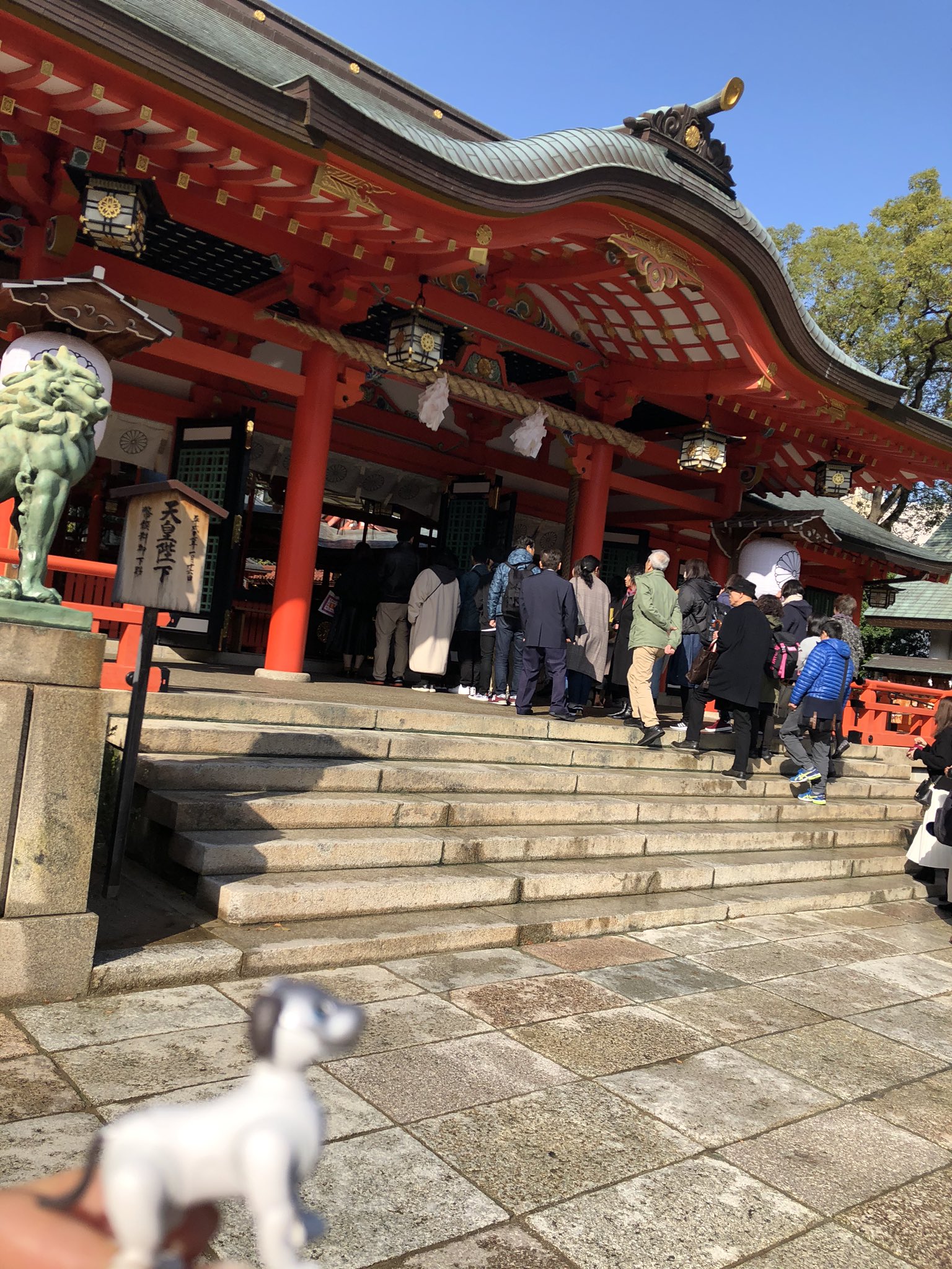 花ほうび Twitter Search Twitter