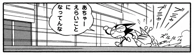 #猫の日 