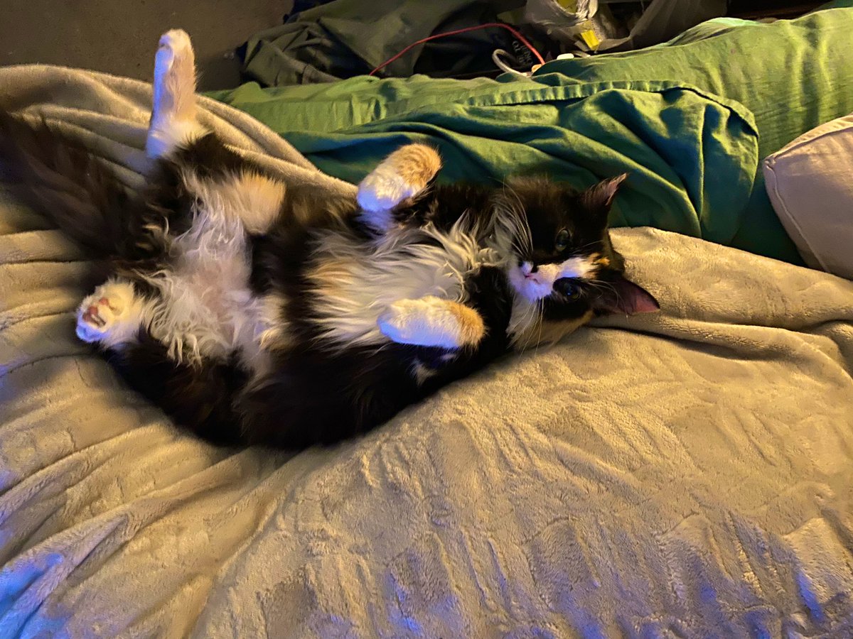 fel of mome leg g,, am fin e heer.. ment 2 do et