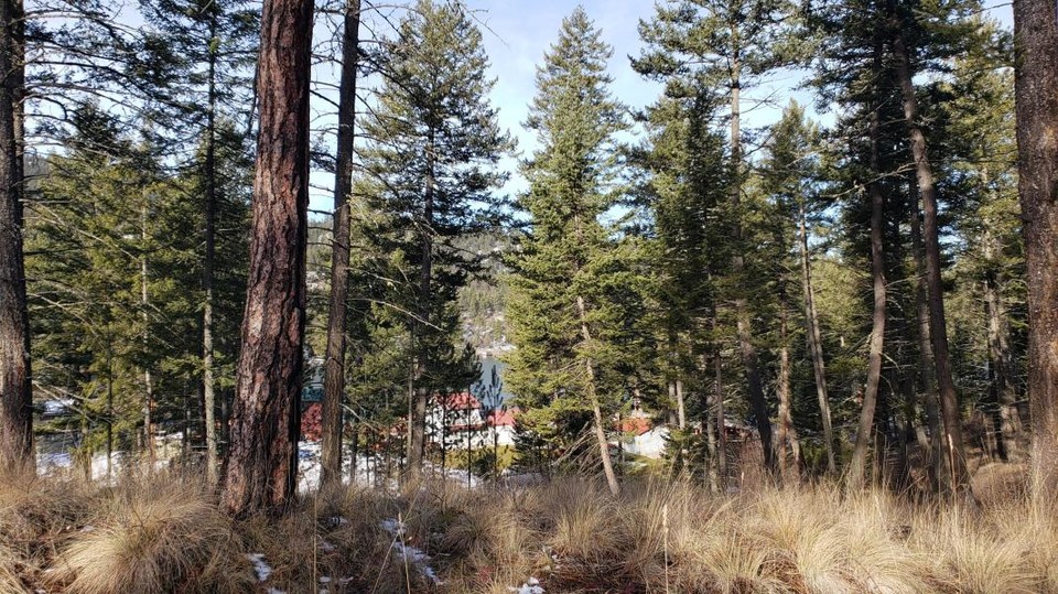 LynsiDeWaard's tweet photo. New Listing Alert!!✨🌟✨🌟
Message me today for more info!
https://t.co/wLEzCwkH9c
https://t.co/7aLPj92CfB https://t.co/7sRgNPhIx0