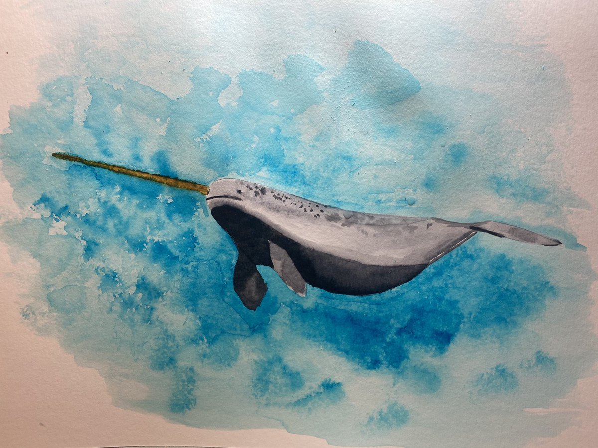 February week 3 - Narwhal #letsMakeArt