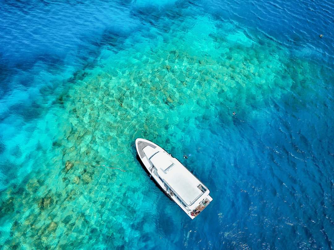 nextstopmv's tweet photo. Adventure is worthwhile in itself! 
.
.
.

#athiribeach #dhigurah #maldives #nextstopmaldives https://t.co/GCk0pBc40P