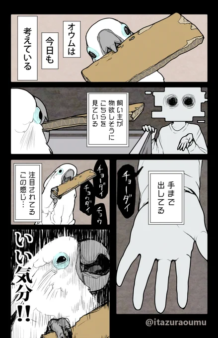 人との駆け引きを楽しむオウム
#漫画 #オウムは今日も考えている 