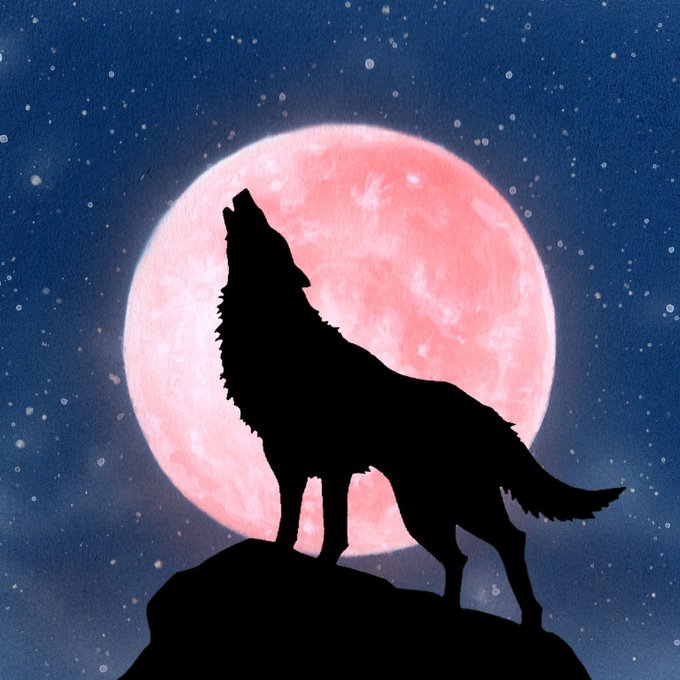 月と狼のtwitterイラスト検索結果