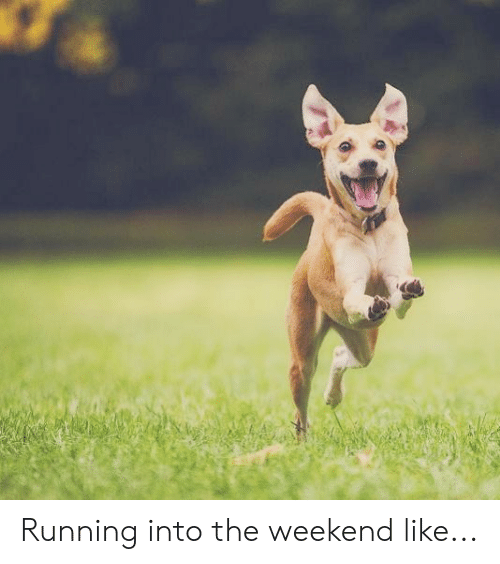 RunRichmondBC's tweet photo. YAAASSS! It's Friday night! Looking forward to the weekend, regardless of the weather! Have a great one, #runbuds! #RunRichmondBC #run #runners #fit #fitness #roadrace #trailrunning #runwithdogs #dogsoftwitter https://t.co/FoDdeLw8rY