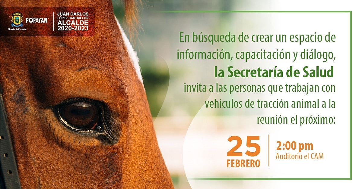 Amigo ciudadano! 🙋‍♀️🙋‍♂️ 
➡️ Invitamos a todas las personas que trabajan con vehículos de tracción animal a este espacio de información, capacitación y diálogo por los animales. 🐴
Pasa la Voz 
📆: Martes 25 de febrero 
⏰: 02:00 p.m.
🏢: Auditorio CAM Alcaldía Municipal de Popayán