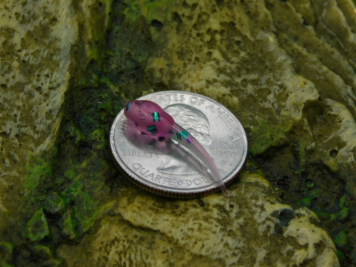AdvancedTackle tweet picture