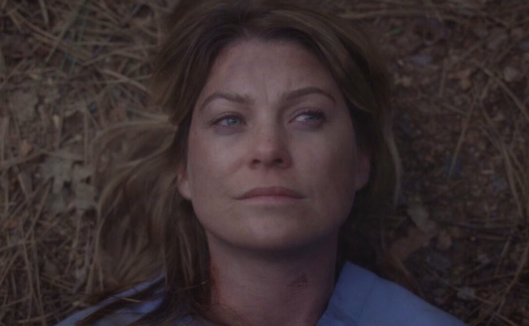  a thread of memes of ellen pompeo and meredith grey that i did or found. use it to clean skin and to brighten your life. good dayyy  @EllenPompeo