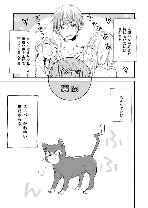 拾った猫の飼い主を探す話 1/10
#猫の日 