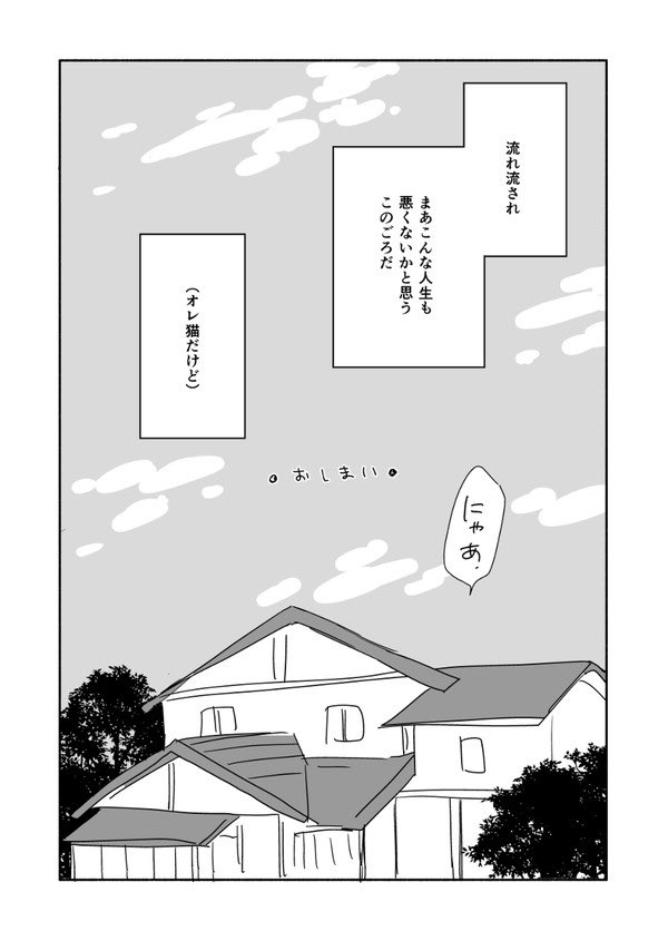 拾った猫の飼い主を探す話 10/10
#猫の日 
