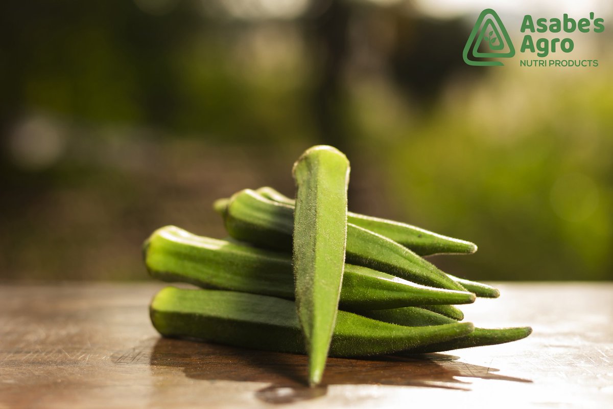 AsabeLtd's tweet photo. 🇮🇳indian okra🇮🇳
@AsabeLtd 
@FarmRukmini https://t.co/3LgHABhrVA