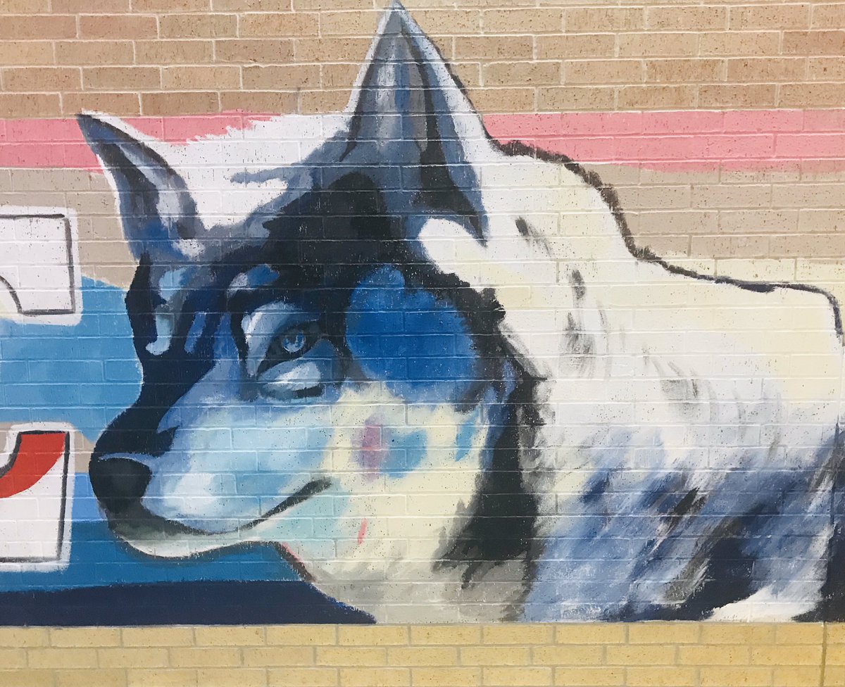 César E. Chavez High School (@chavezhs_hisd) on Twitter photo Who Are We... We Are CHAVEZ!! 🐺 Who Are We... We Are CHAVEZ!! 🐺