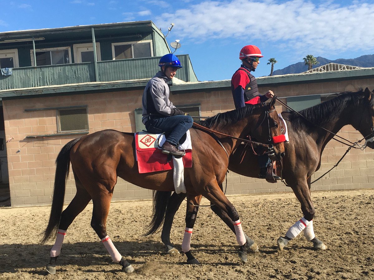 larryzapeye's tweet photo. Venetian Harbor #specialfilly @santaanitapark https://t.co/1ka6ojspfD