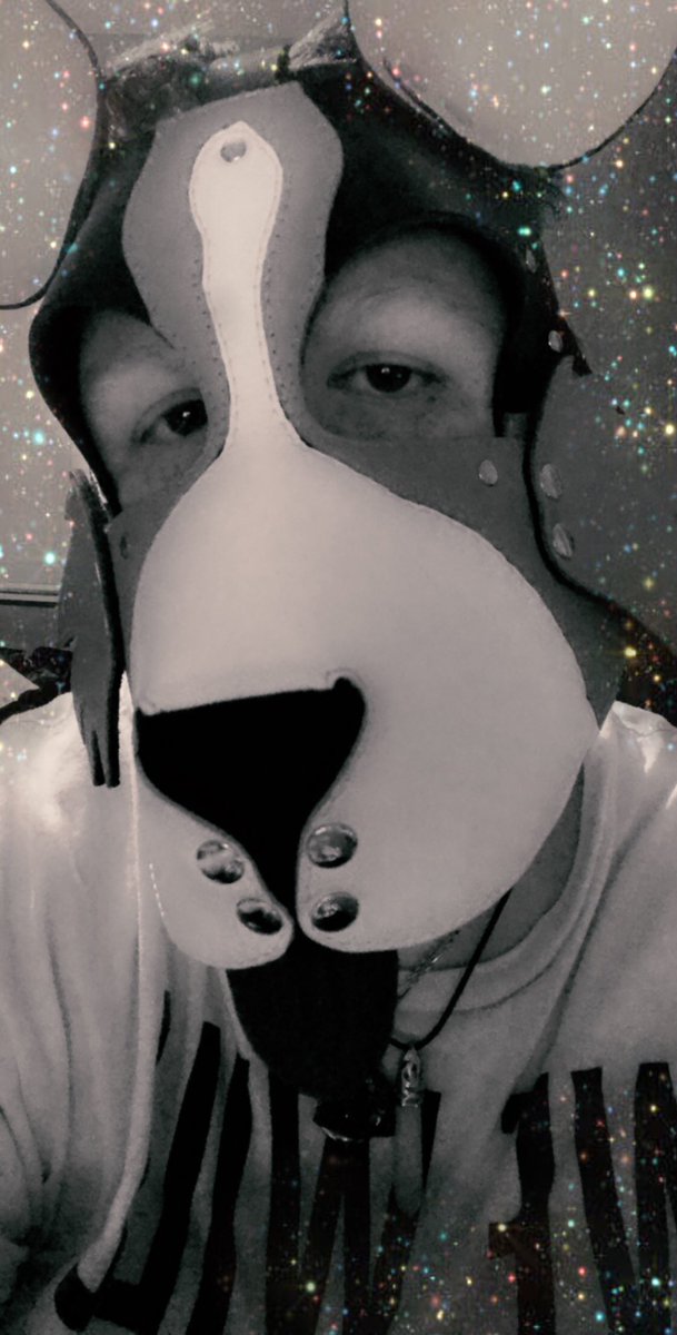 Shadowpup6's tweet photo. I hate being so broke..but better days are ahead!
..right?
#shadowpuppo #puppyplay #bdsm #petplay #greyacepup #polyapup #enbypup #queerpup #goodpup #brokepup #happypup #floridapup #fluffypup https://t.co/dDrk7IGq4b