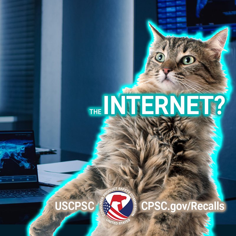 A cat named dr copernicus Jackson sitting in a dark room coming to the realization that his daughter is lost in the internet. He says. The internet?