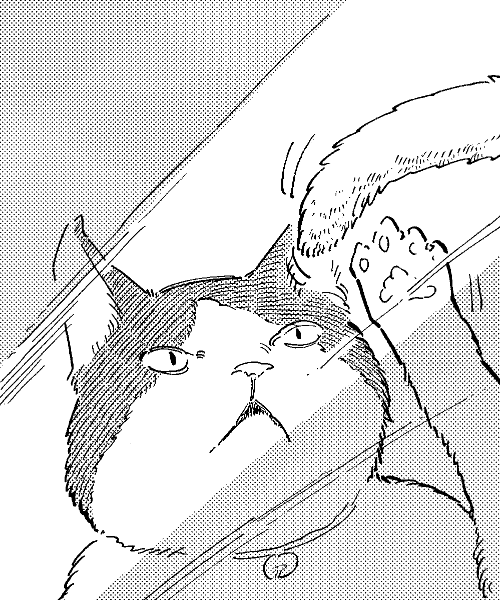 #猫の日 