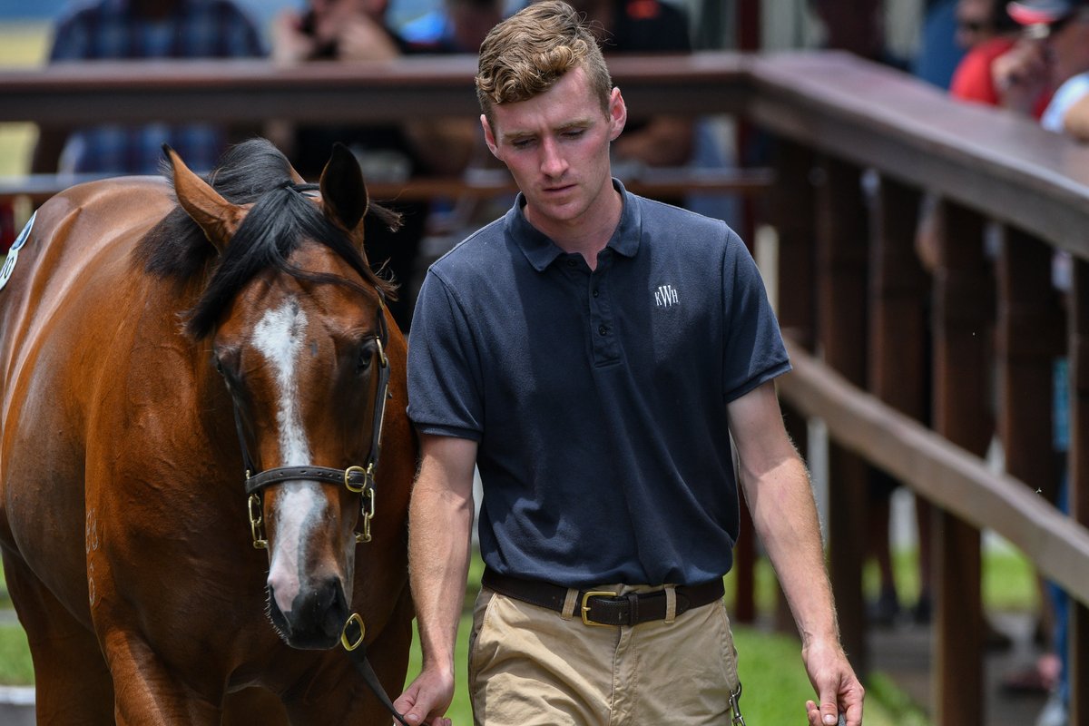 mmsnippets's tweet photo. He'll Haunt Us (Time for War) at the Gold Coast Yearling Sale where he sold to John Foote and @RolltheDiceRace for $150,000. Another @KitchwinHills sold star. Today wins the Group Three Zeditave Stakes at Caulfield for @MichaelRhysKent and @MickPriceRacing. 
#ClassOf2018 https://t.co/vQ6gY3Itax
