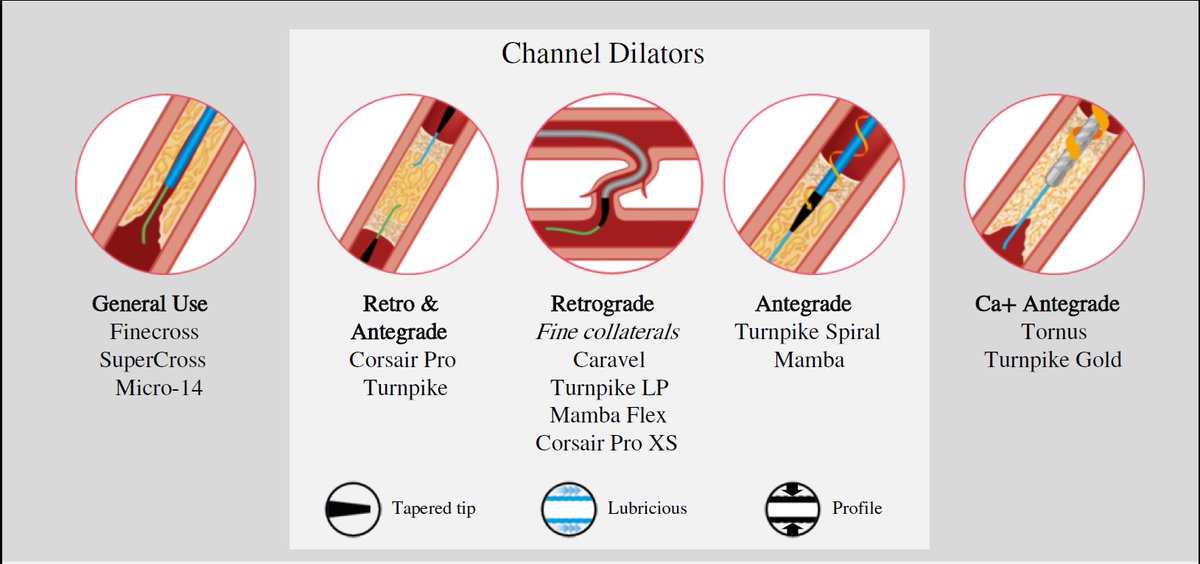 MichaelMegalyMD's tweet photo. My most favorite 4 slides from the great #CTO2020 meeting. Very educational and helpful to all levels of #CTO #PCI operators. Thank you @crfheart @esbrilakis @DKarmpaliotis @AshishPershad @YbarraLuiz #ACCFIT #cardiotwitter https://t.co/hun6gucxt7