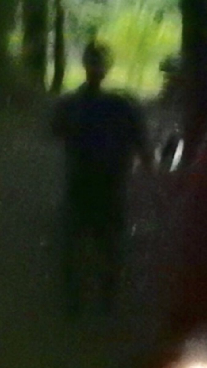 RyanDBledsoe's tweet photo. Dad was walking through our property with our friend, Lori Wagner, snapping photos in the woods. This dark form is an entity that appeared in the photo after uploading it to her computer. No dust. No photoshop. No pareidolia. https://t.co/nDKouxd0IS