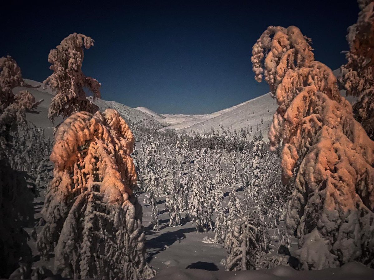 VisitYakutia's tweet photo. Instagram users are welcome to see some of our winter travel images... https://t.co/Bnae8blU8D https://t.co/pmhnRNk05p