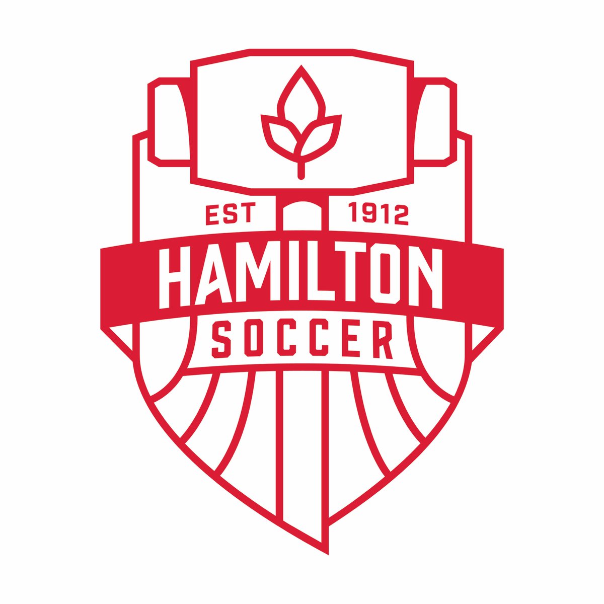 HamiltonSoccer's tweet photo. From now on, united under one badge, we all move forward together. #HamiltonSoccer https://t.co/t6V2fIB0cT