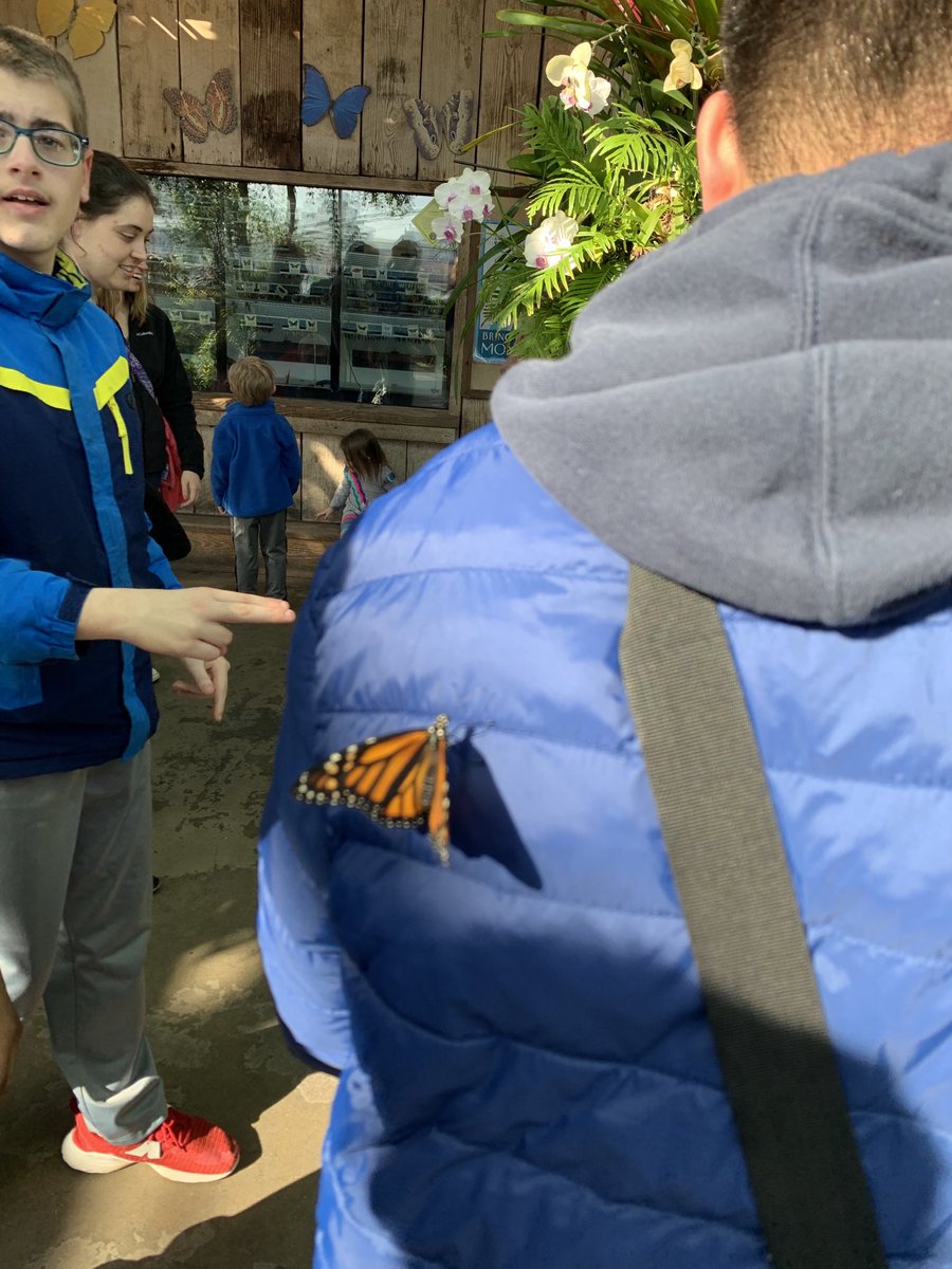 Herring6th's tweet photo. More fun from a great day @ the TN aquarium!#hillcrestmspats https://t.co/ykLqK6wuPp