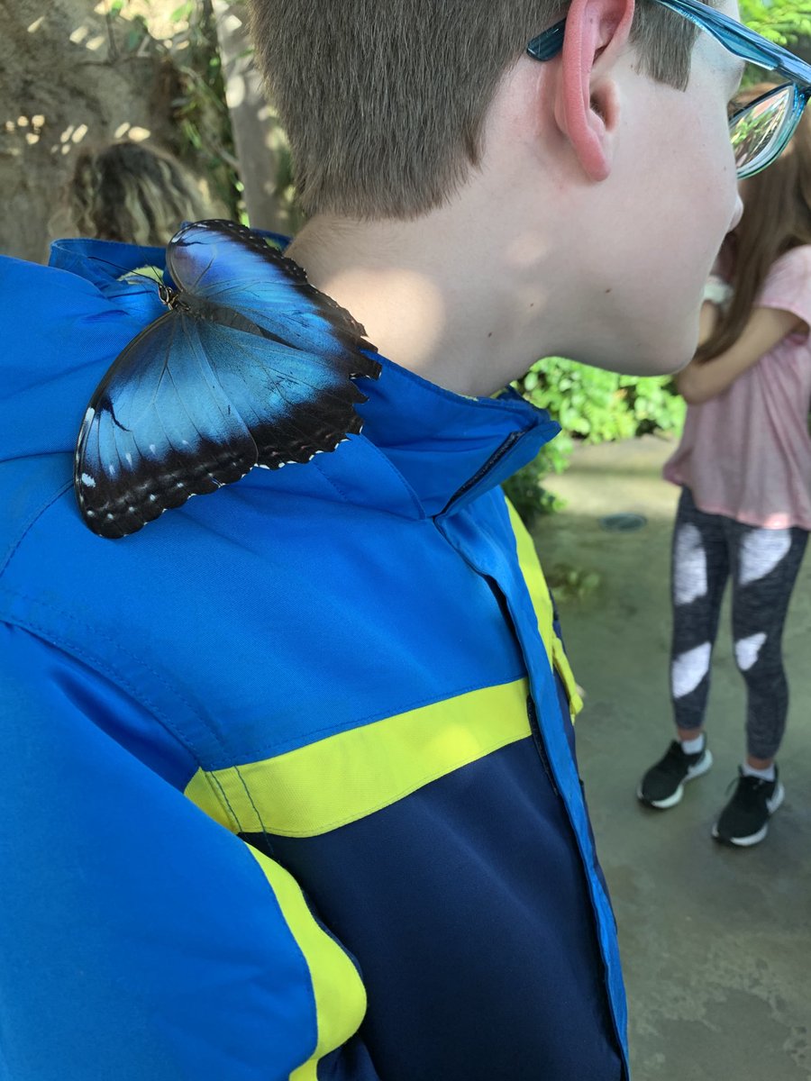 Herring6th's tweet photo. More fun from a great day @ the TN aquarium!#hillcrestmspats https://t.co/ykLqK6wuPp