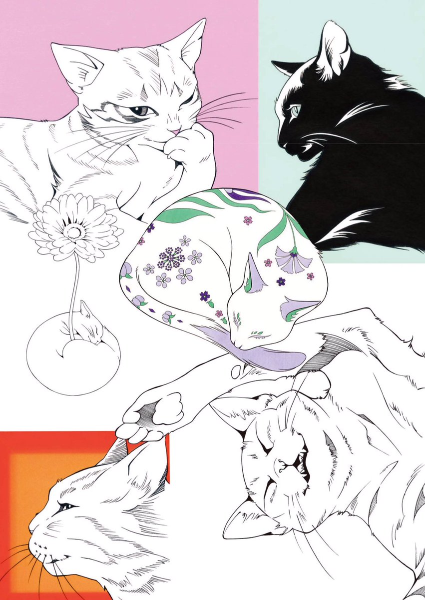 令和2年2月22日 #猫の日
#ネコトモ スタートです 