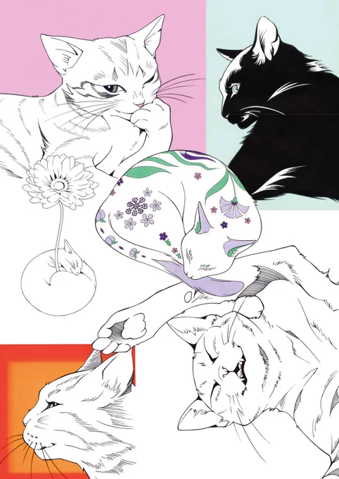 令和2年2月22日 #猫の日
#ネコトモ スタートです 
