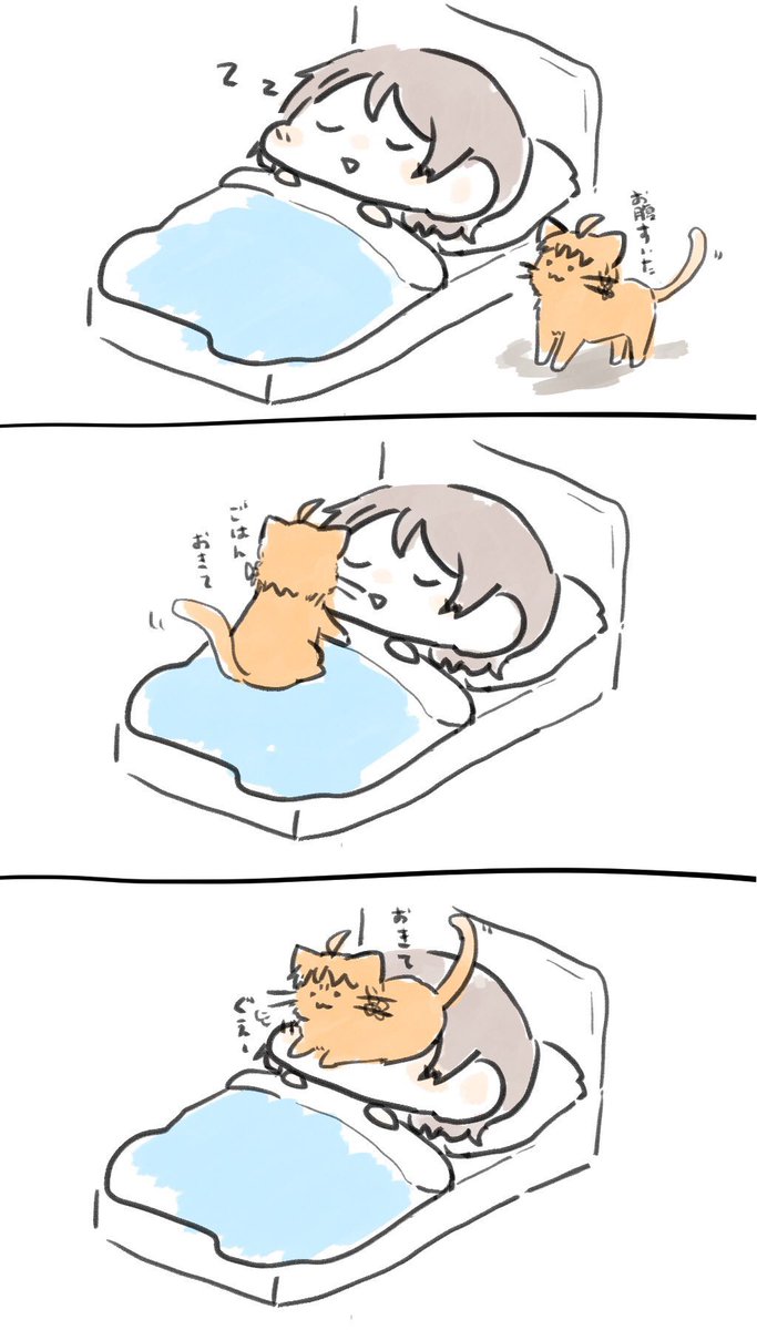 #猫の日 