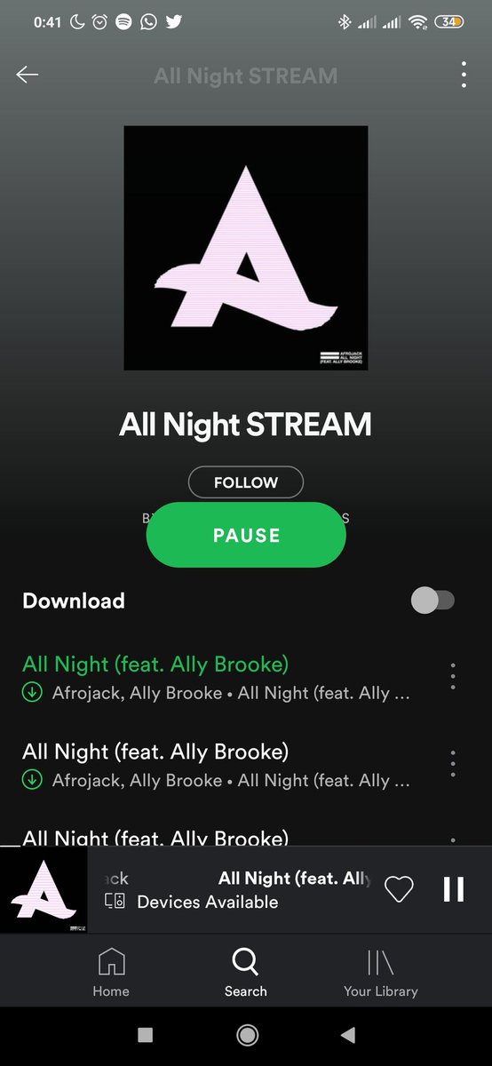 arianasflo's tweet photo. @AllyNewsBra #StreamAllNight https://t.co/EGNS8z3CMO