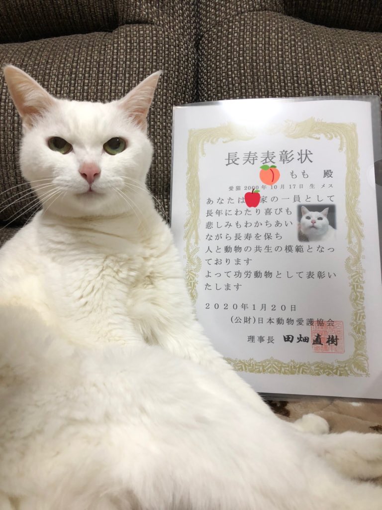 長生きした犬や猫を表彰してもらえる制度があるらしい Togetter
